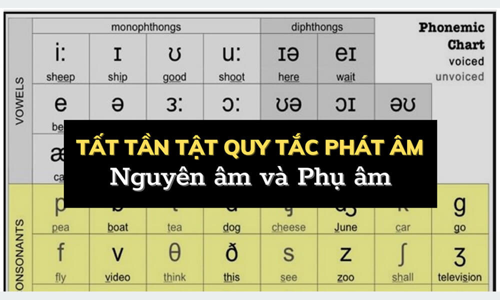 Định nghĩa Nguyên Âm và Phụ Âm